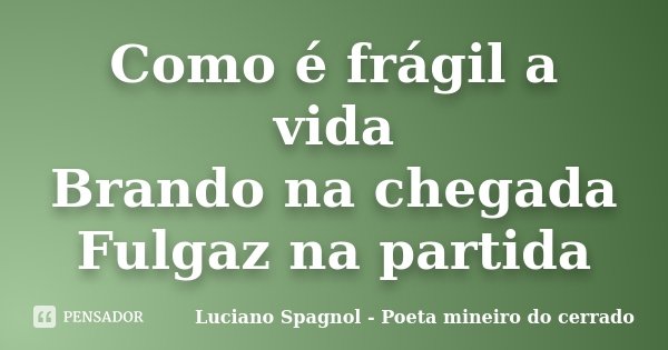 Como é frágil a vida Brando na chegada Fulgaz na partida... Frase de Luciano Spagnol - Poeta mineiro do cerrado.