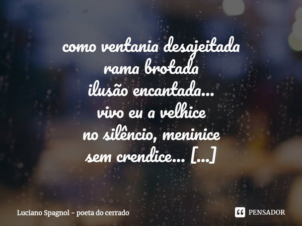 ⁠como ventania desajeitada
rama brotada
ilusão encantada…
vivo eu a velhice
no silêncio, meninice
sem crendice...
apenas vivendo
pouco querendo
ou tendo...
afin... Frase de Luciano Spagnol - poeta do cerrado.