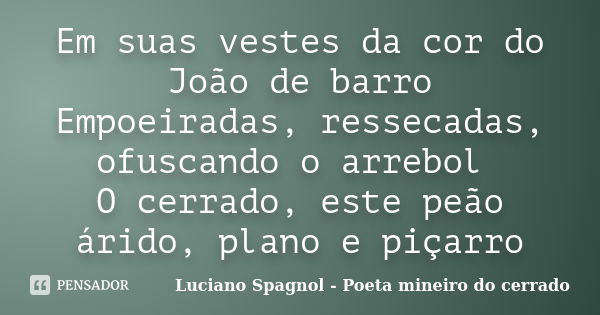 Em suas vestes da cor do João de barro Empoeiradas, ressecadas, ofuscando o arrebol O cerrado, este peão árido, plano e piçarro... Frase de Luciano Spagnol - Poeta mineiro do cerrado.