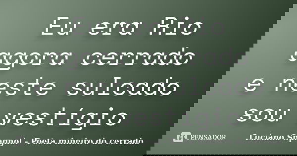 Eu era Rio agora cerrado e neste sulcado sou vestígio... Frase de Luciano Spagnol - Poeta mineiro do cerrado.
