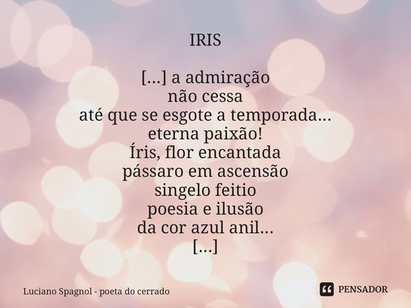 ⁠⁠IRIS [...] a admiração não cessa até que se esgote a temporada... eterna paixão! Íris, flor encantada pássaro em ascensão singelo feitio poesia e ilusão da co... Frase de Luciano Spagnol - poeta do cerrado.