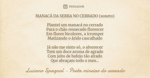 MANACÁ DA SERRA NO CERRADO (soneto) Plantei um manacá no cerrado Para o chão ressecado florescer Em flores bicolores, a irromper Matizando o árido cascalhado Já... Frase de Luciano Spagnol - poeta mineiro do cerrado.