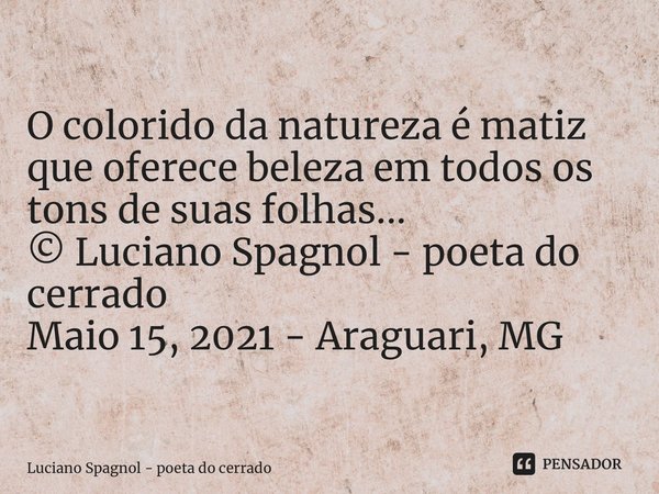 ⁠O colorido da natureza é matiz que oferece beleza em todos os tons de suas folhas... © Luciano Spagnol - poeta do cerrado Maio 15, 2021 - Araguari, MG... Frase de Luciano Spagnol - poeta do cerrado.