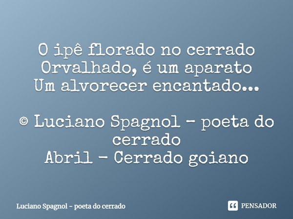 ⁠O ipê florado no cerrado
Orvalhado, é um aparato
Um alvorecer encantado... © Luciano Spagnol – poeta do cerrado
Abril - Cerrado goiano... Frase de Luciano Spagnol - poeta do cerrado.