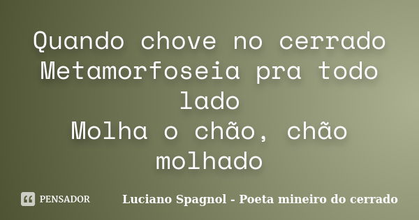 Quando chove no cerrado Metamorfoseia pra todo lado Molha o chão, chão molhado... Frase de Luciano Spagnol - Poeta mineiro do cerrado.