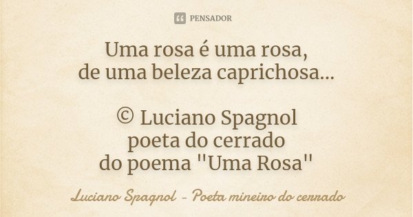 Uma rosa é uma rosa, de uma beleza caprichosa... © Luciano Spagnol poeta do cerrado do poema "Uma Rosa"... Frase de Luciano Spagnol - poeta mineiro do cerrado.