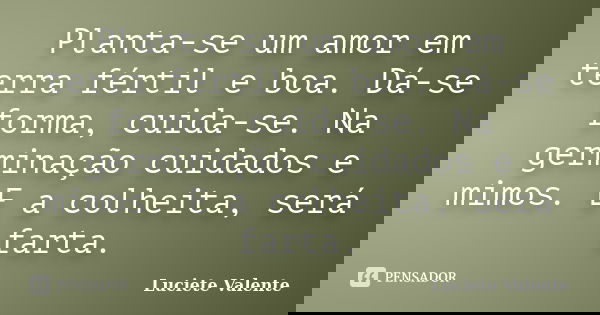 Planta-se um amor em terra fértil e boa. Dá-se forma, cuida-se. Na germinação cuidados e mimos. E a colheita, será farta.... Frase de Luciete Valente.