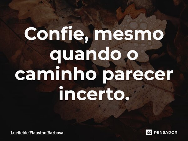 ⁠Confie, mesmo quando o caminho parecer incerto.... Frase de Lucileide Flausino Barbosa.