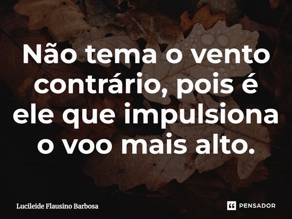 ⁠Não tema o vento contrário, pois é ele que impulsiona o voo mais alto.... Frase de Lucileide Flausino Barbosa.