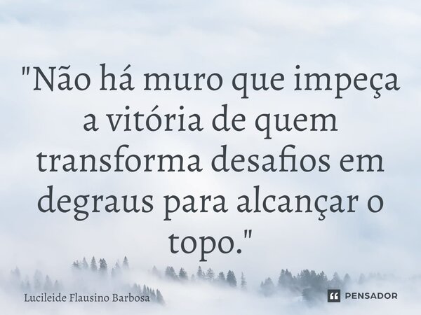 ⁠"Não há muro que impeça a vitória de quem transforma desafios em degraus para alcançar o topo."... Frase de Lucileide Flausino Barbosa.