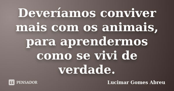 Deveríamos conviver mais com os animais, para aprendermos como se vivi de verdade.... Frase de Lucimar Gomes Abreu.