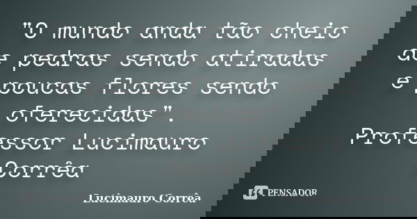 "O mundo anda tão cheio de pedras sendo atiradas e poucas flores sendo oferecidas". Professor Lucimauro Corrêa... Frase de Lucimauro Corrêa.