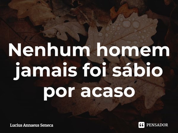 ⁠Nenhum homem jamais foi sábio por acaso... Frase de Lucius Annaeus Seneca.