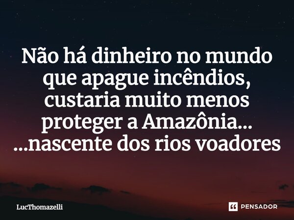 ⁠Não há dinheiro no mundo que apague incêndios, custaria muito menos proteger a Amazônia... ...nascente dos rios voadores... Frase de LucThomazelli.