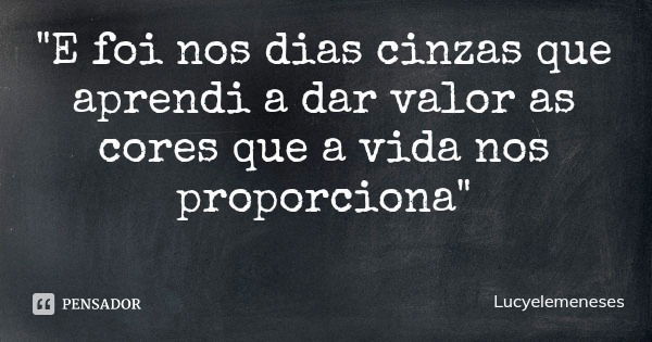 "E foi nos dias cinzas que aprendi a dar valor as cores que a vida nos proporciona"... Frase de Lucyelemeneses.