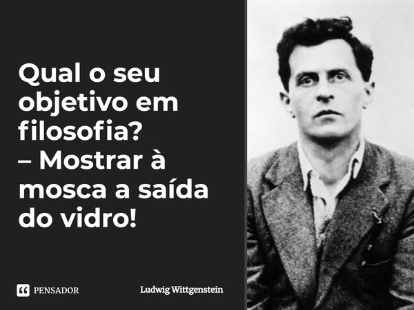 ⁠Qual o seu objetivo em filosofia? – Mostrar à mosca a saída do vidro!... Frase de Ludwig Wittgenstein.