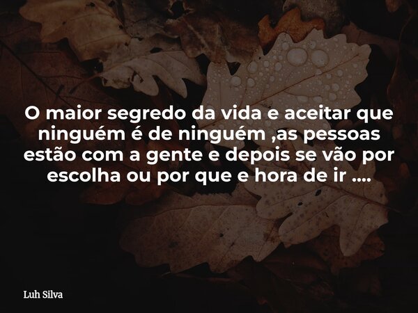 O maior segredo da vida e aceitar que ninguém é de ninguém ,as pessoas estão com a gente e depois se vão por escolha ou por que e hora de ir ....... Frase de Luh Silva.