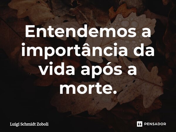 ⁠Entendemos a importância da vida após a morte.... Frase de Luigi Schmidt Zoboli.