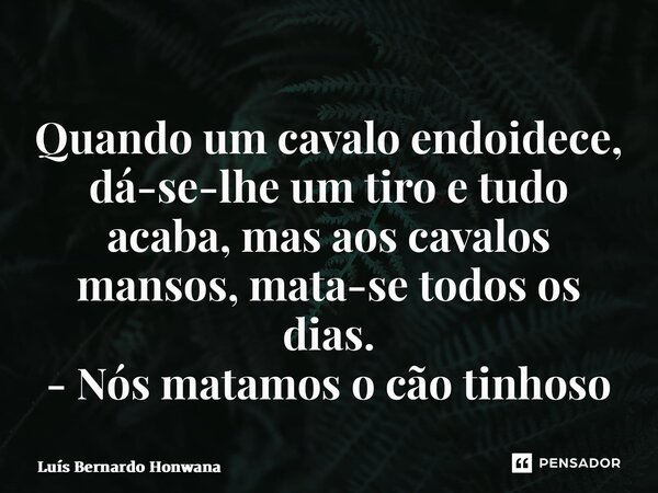 ⁠Quando um cavalo endoidece, dá-se-lhe um tiro e tudo acaba, mas aos cavalos mansos, mata-se todos os dias. - Nós matamos o cão tinhoso... Frase de Luís Bernardo Honwana.