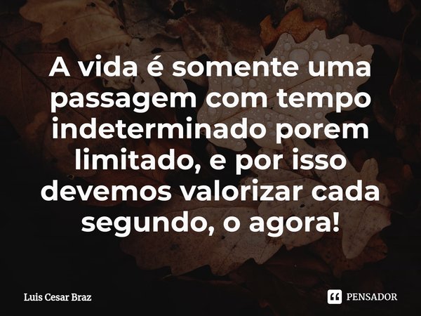 A vida é somente uma passagem com tempo indeterminado porem limitado, e por isso devemos valorizar cada segundo, o agora!⁠... Frase de Luis Cesar Braz.