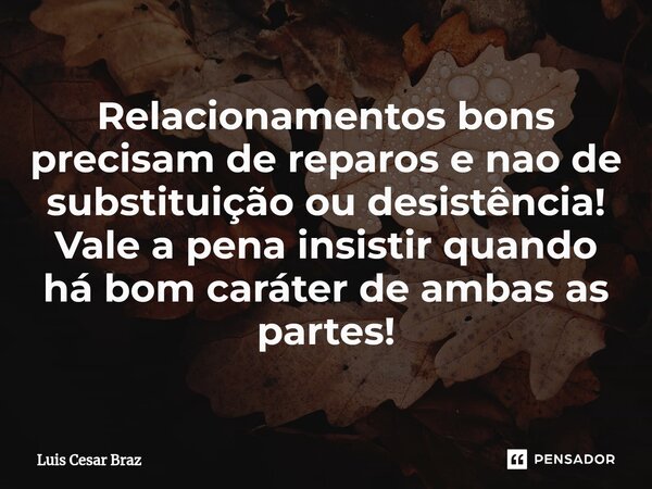 ⁠Relacionamentos bons precisam de reparos e nao de substituição ou desistência! Vale a pena insistir quando há bom caráter de ambas as partes!... Frase de Luis Cesar Braz.