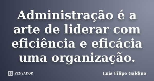 Administração é a arte de liderar com eficiência e eficácia uma organização.... Frase de Luis Filipe Galdino.
