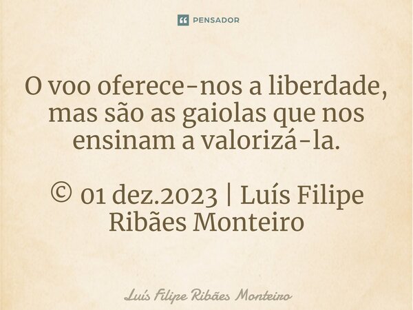 ⁠O voo oferece-nos a liberdade, mas são as gaiolas que nos ensinam a valorizá-la. © 01 dez.2023 | Luís Filipe Ribães Monteiro... Frase de Luís Filipe Ribães Monteiro.