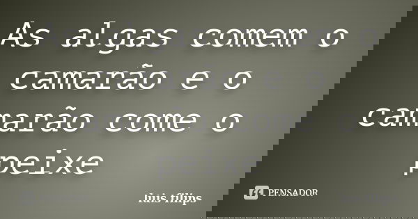 As algas comem o camarão e o camarão come o peixe... Frase de luis filips.