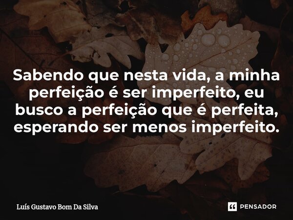 ⁠Sabendo que nesta vida, a minha perfeição é ser imperfeito, eu busco a perfeição que é perfeita, esperando ser menos imperfeito.... Frase de Luis Gustavo Bom Da Silva.