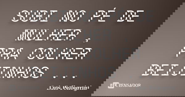 SUBI NO PÉ DE MULHER , PRA COLHER BEIJINHOS ...... Frase de Luis Pellegrini.