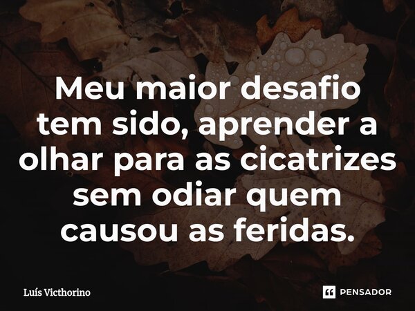 ⁠Meu maior desafio tem sido, aprender a olhar para as cicatrizes sem odiar quem causou as feridas.... Frase de Luís Victhorino.