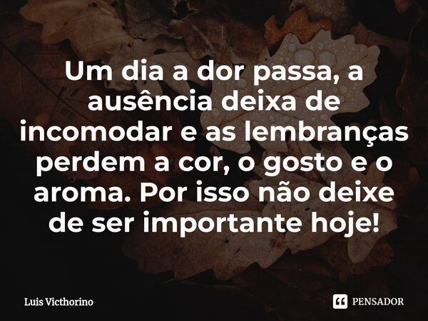 ⁠Um dia a dor passa, a ausência deixa de incomodar e as lembranças perdem a cor, o gosto e o aroma. Por isso não deixe de ser importante hoje!... Frase de Luís Victhorino.