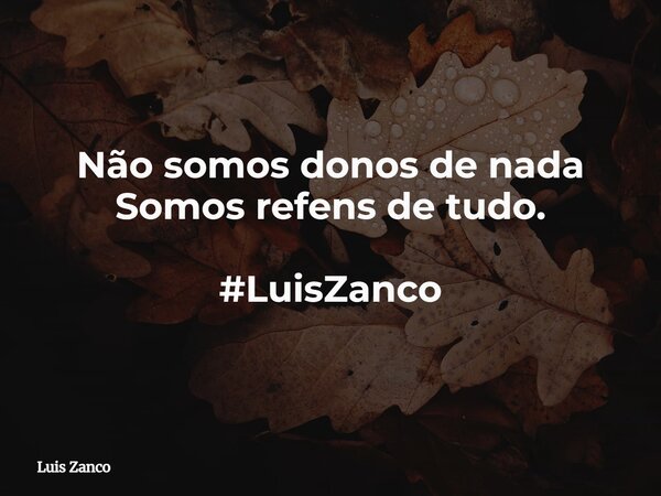 Não somos donos de nada Somos refens de tudo. #LuisZanco... Frase de Luis Zanco.