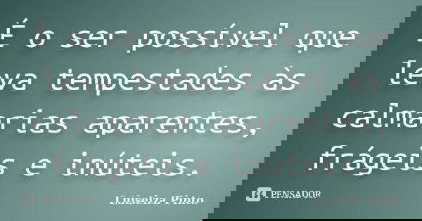 É o ser possível que leva tempestades às calmarias aparentes, frágeis e inúteis.... Frase de Luiselza Pinto.