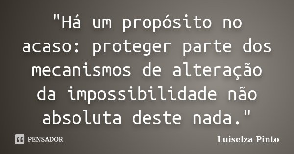 "Há um propósito no acaso: proteger parte dos mecanismos de alteração da impossibilidade não absoluta deste nada."... Frase de Luiselza Pinto.