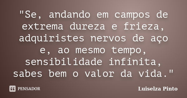 "Se, andando em campos de extrema dureza e frieza, adquiristes nervos de aço e, ao mesmo tempo, sensibilidade infinita, sabes bem o valor da vida."... Frase de Luiselza Pinto.