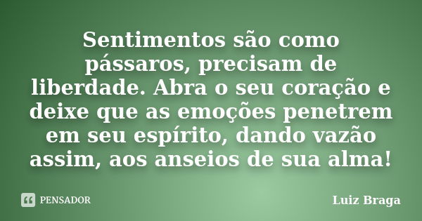 Sentimentos são como pássaros, precisam de liberdade. Abra o seu coração e deixe que as emoções penetrem em seu espírito, dando vazão assim, aos anseios de sua ... Frase de Luiz Braga.