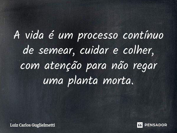 ⁠A vida é um processo contínuo de semear, cuidar e colher, com atenção para não regar uma planta morta.... Frase de Luiz Carlos Guglielmetti.