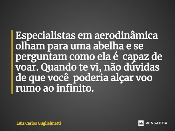 ⁠Especialistas em aerodinâmica olham para uma abelha e se perguntam como ela é capaz de voar. Quando te vi, não dúvidas de que você poderia alçar voo rumo ao in... Frase de Luiz Carlos Guglielmetti.