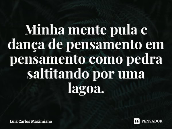⁠Minha mente pula e dança de pensamento em pensamento como pedra saltitando por uma lagoa.... Frase de Luiz Carlos Maximiano.