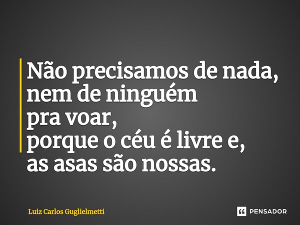 Não precisamos de nada, nem de ninguém pra voar, porque o céu é livre e, as asas são nossas.... Frase de Luiz Carlos Guglielmetti.