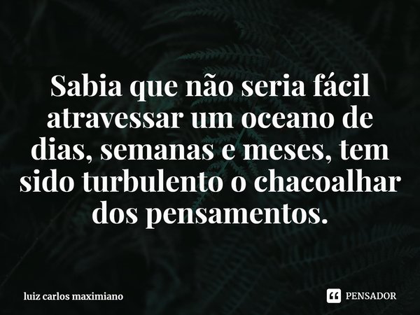 Eu não sabia que um dia seria assim, Caindo na Real - Pensador