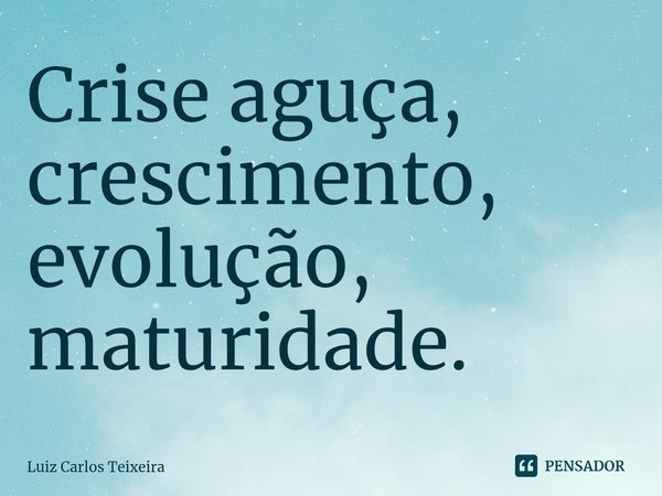 ⁠Crise aguça, crescimento, evolução, maturidade.... Frase de Luiz Carlos Teixeira.