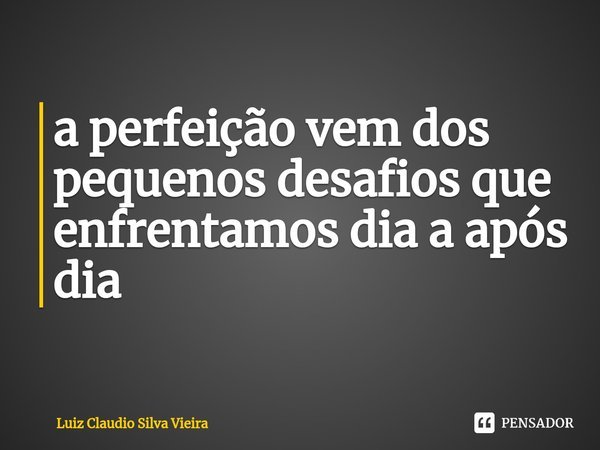 ⁠a perfeição vem dos pequenos desafios que enfrentamos dia a após dia... Frase de Luiz Claudio Silva Vieira.