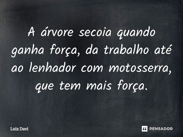 ⁠A árvore secoia quando ganha força, da trabalho até ao lenhador com motosserra, que tem mais força.... Frase de Luiz davi.