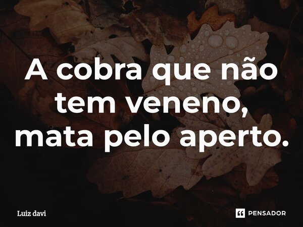 ⁠A cobra que não tem veneno, mata pelo aperto.... Frase de Luiz davi.