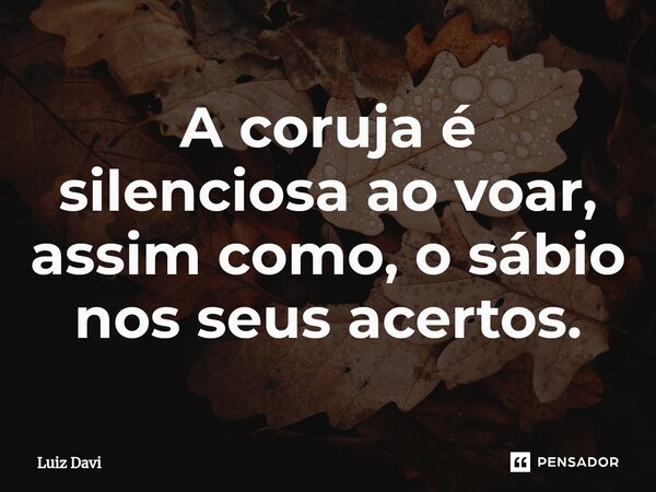 ⁠A coruja é silenciosa ao voar, assim como, o sábio nos seus acertos.... Frase de Luiz davi.