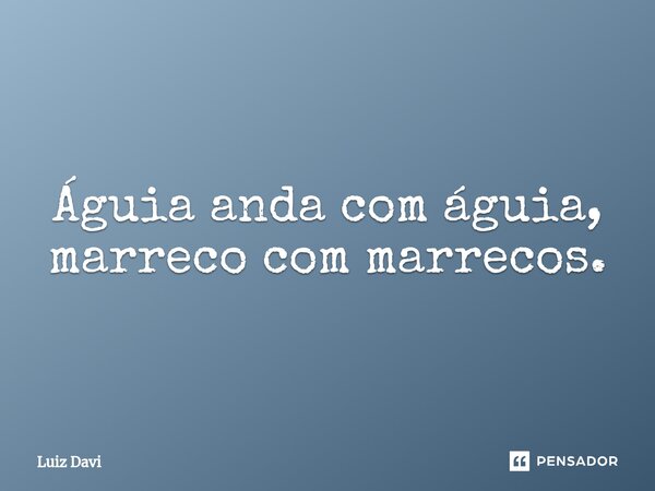 ⁠Águia anda com águia, marreco com marrecos.... Frase de Luiz davi.
