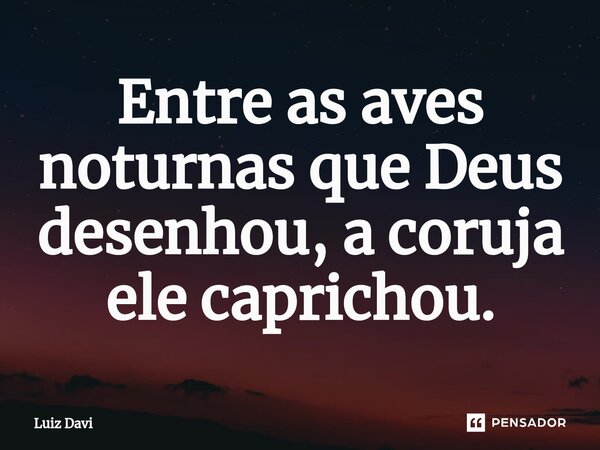 ⁠Entre as aves noturnas que Deus desenhou, a coruja ele caprichou.... Frase de Luiz davi.