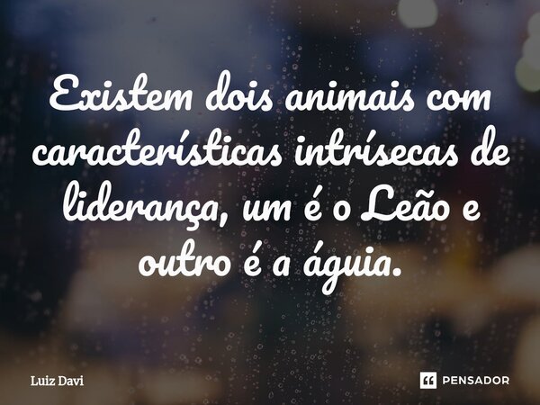 ⁠Existem dois animais com características intrísecas de liderança, um é o Leão e outro é a águia.... Frase de Luiz davi.